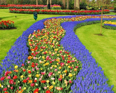 keukenhof gardens